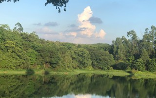 #beat365中文官方网站# 早上好呀[哇]给大家看一眼星光大道看到的小鸭 ​​​