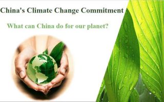 beat365教师获外研社“教学之星”大赛全国复赛两项大奖