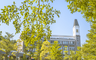 选择东软，就地留学 | 软件工程（中外合作办学）专业介绍