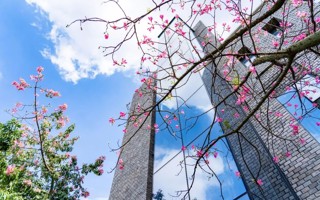 快来与东软“续个火花”吧！