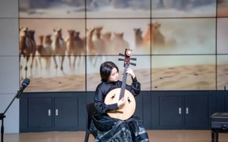 丝弦共鸣新年音乐会圆满落幕！