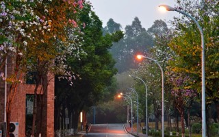 冰雹预警！全体东软er注意