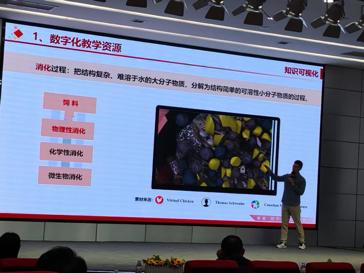 双线并进，共探数智赋能教学新路径